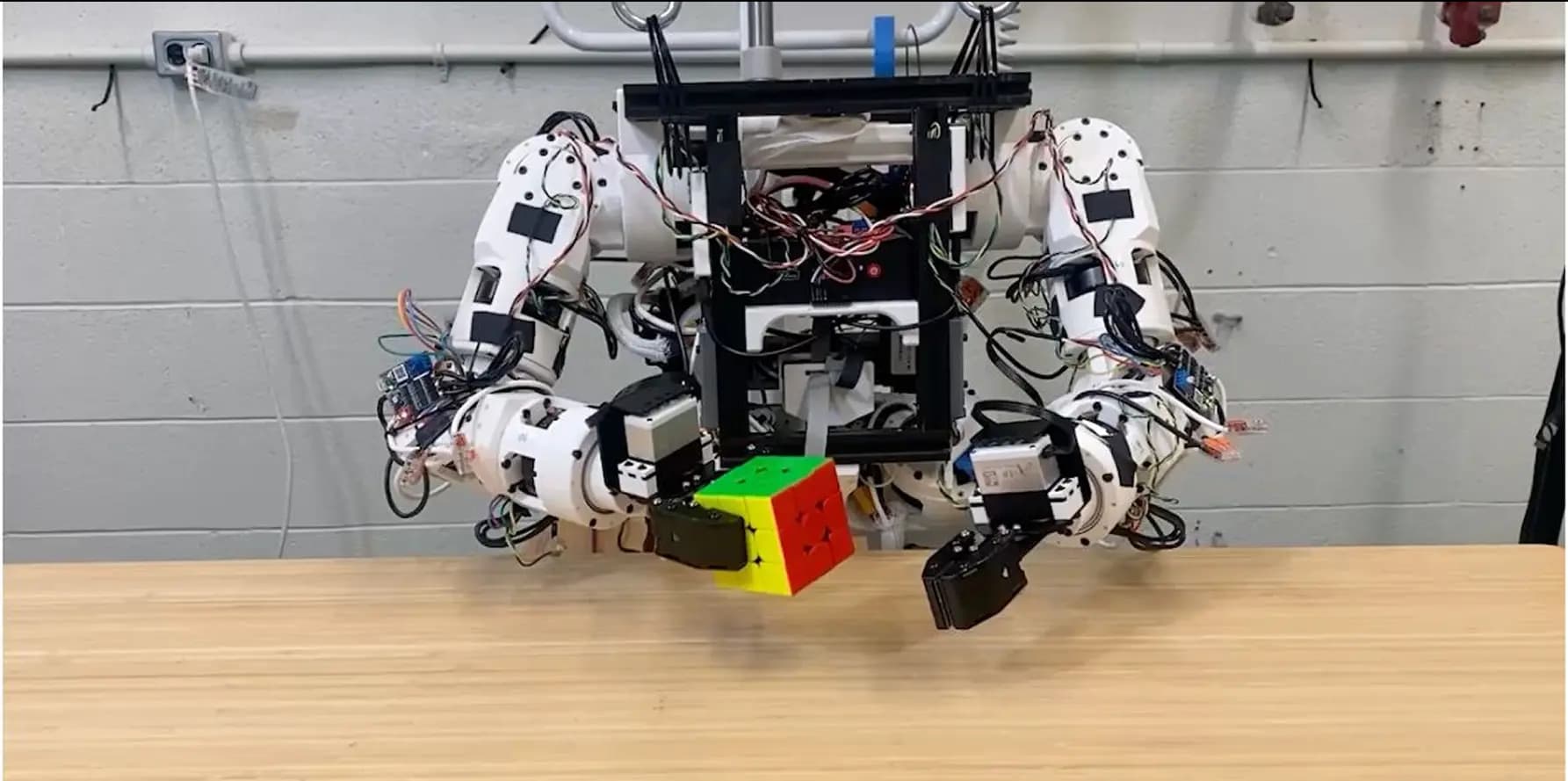 Embodied Brain Lab